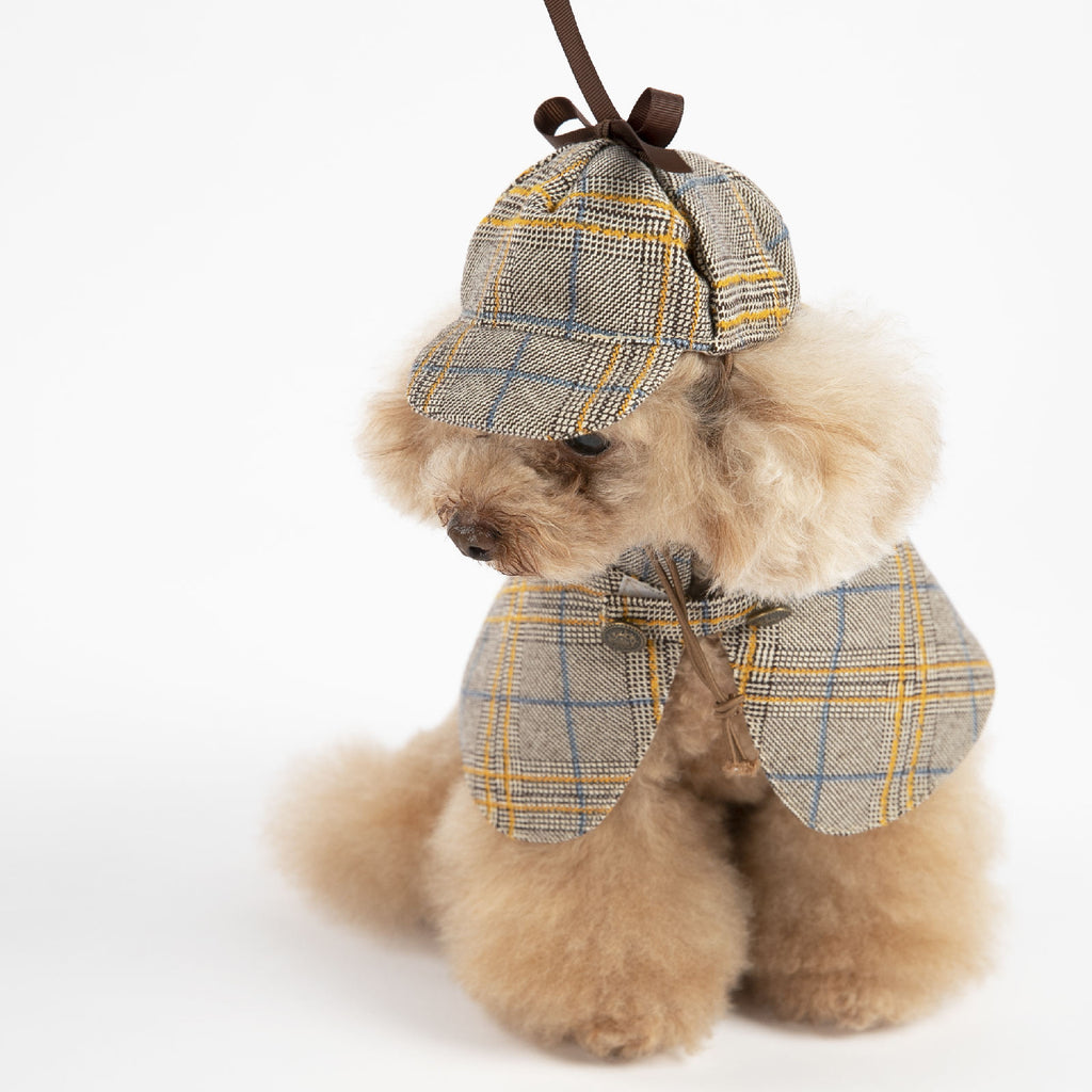 Cute Personalized Cloak Spring And Autumn Pet Clothes