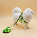 Reflective sport / footprint flat rope