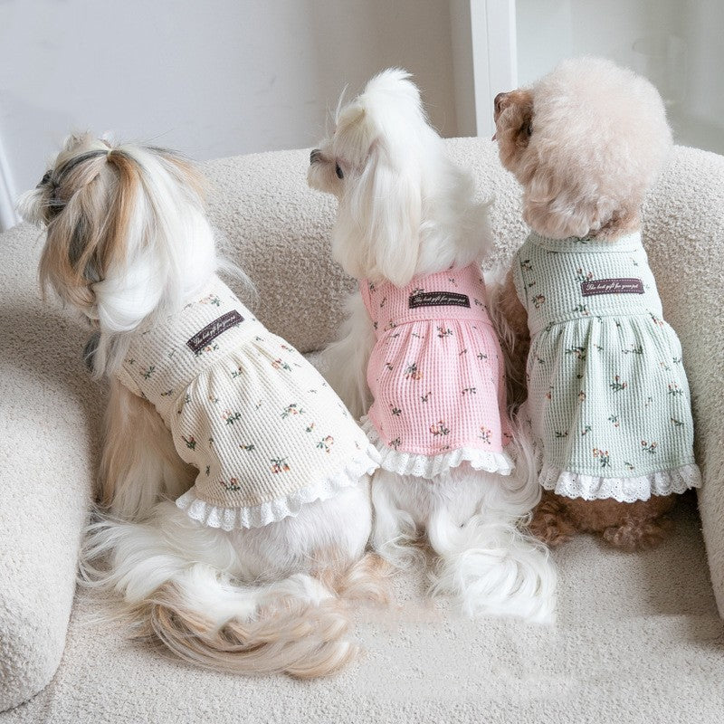 Autumn And Winter Embroidery Bear Vest Pet Clothes