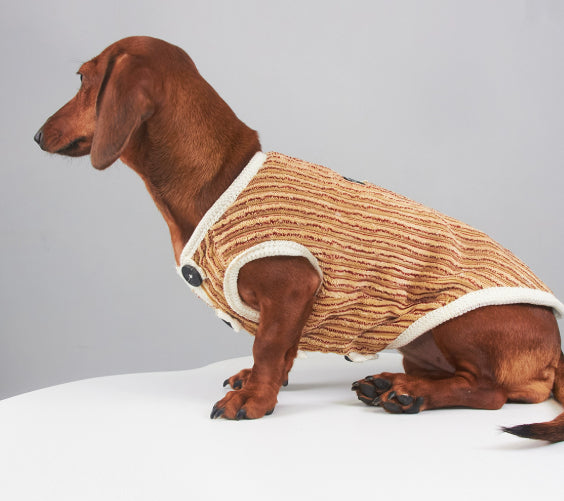 Yorkshire Miniature Pinscher Bichon Hoodie Striped