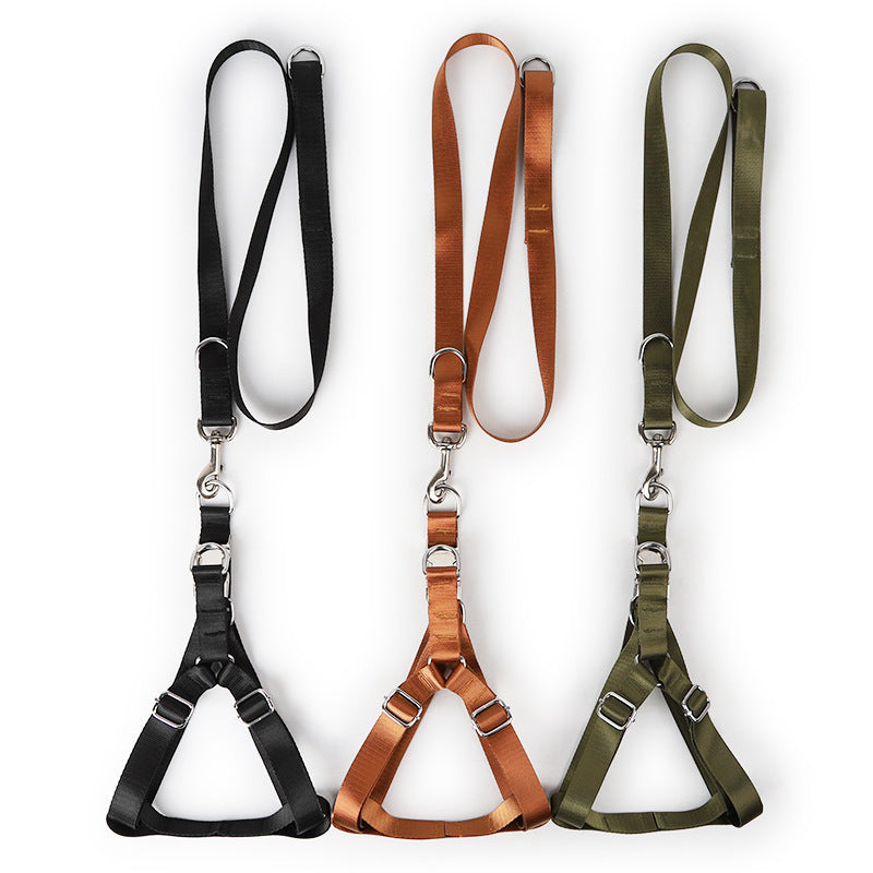 Golden Wool Edged Shepherd Husky With Big Dog Leash