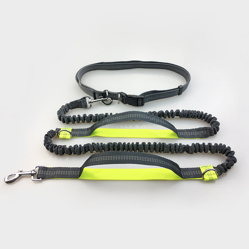 direct pet supplies multi-function running reflective pull dog leash double elastic dog leash traction
