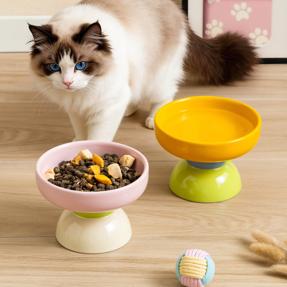 Macaron Color-Block Ceramic Elevated Pet Bowl