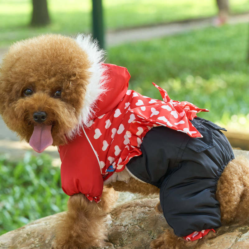 Four-legged Pet Dog Thickened Winter Clothes