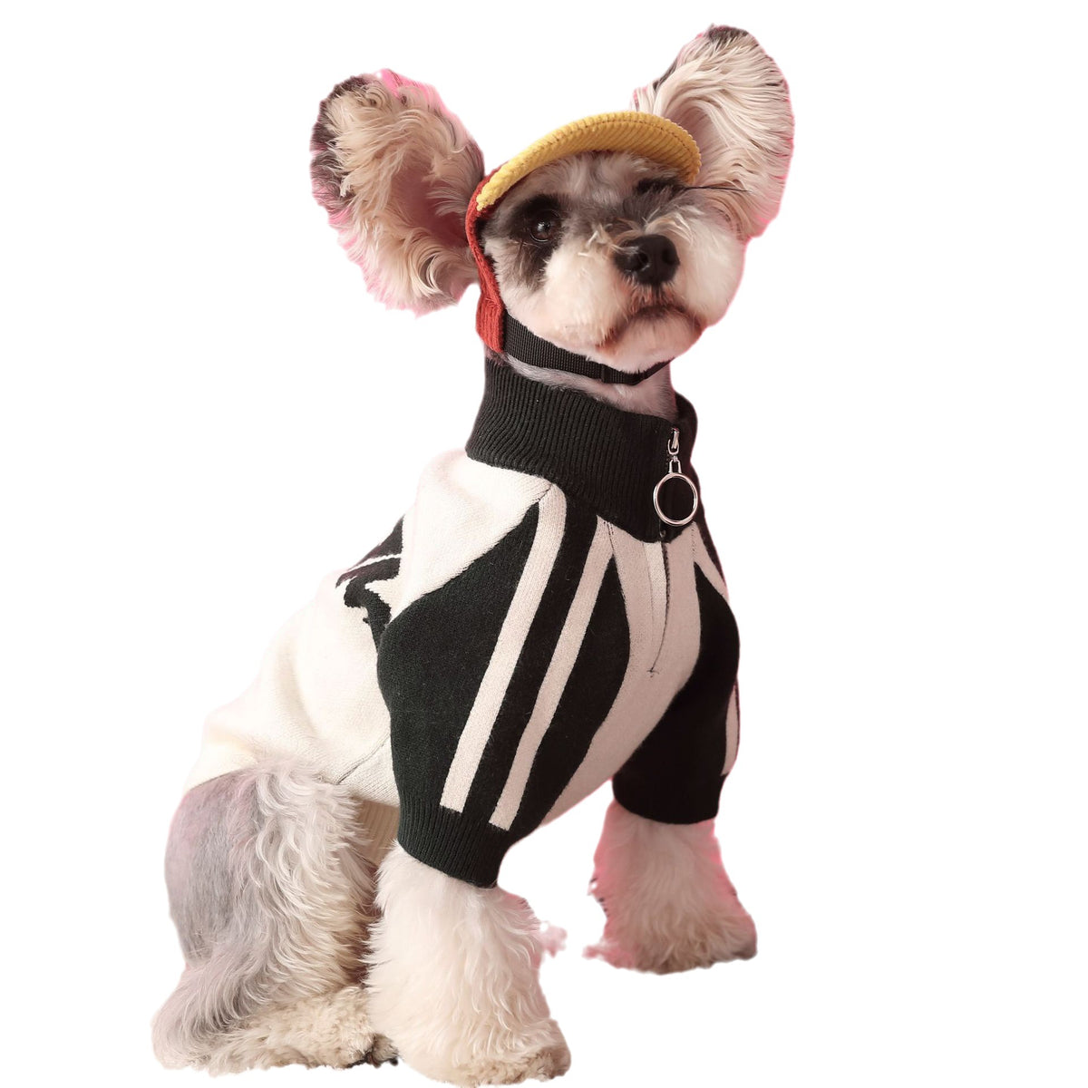 Puppy Dog Sports Sweater Cardigan Men's Pet Clothing