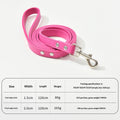 Leather Alloy Buckle Outdoor Pet Leash