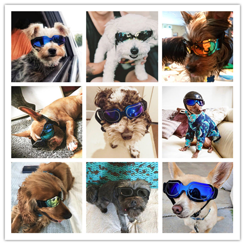 Pet supplies colorful dog glasses sunglasses cat sunglasses