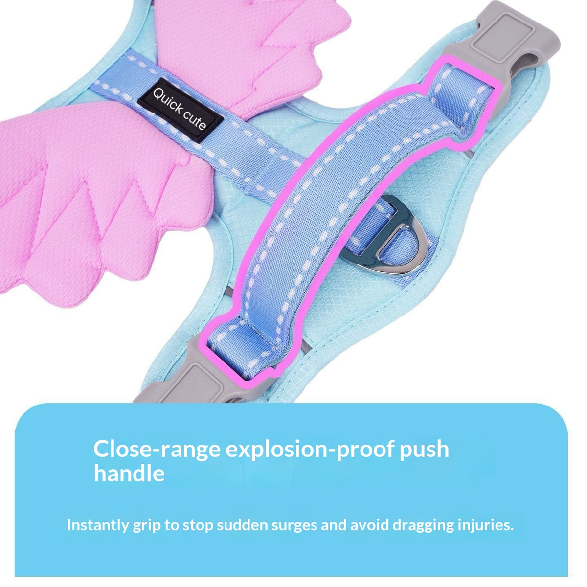 Universal Outdoor Dog Harness With 3D Angel Wings And Leash