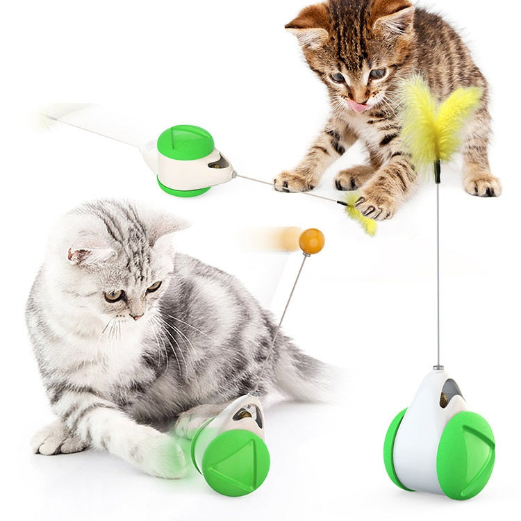 Balance swing car funny cat toy