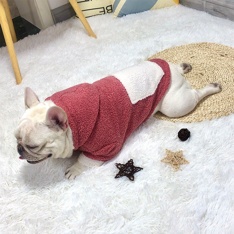 Plush thick warm pet dog clothes