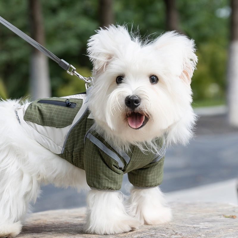 Autumn And Winter Dog, Small And Medium-sized Dog, Checkered Adventure Outdoor Windbreaker, Teddy Cat, Warm Cotton Coat, Pet Clothing