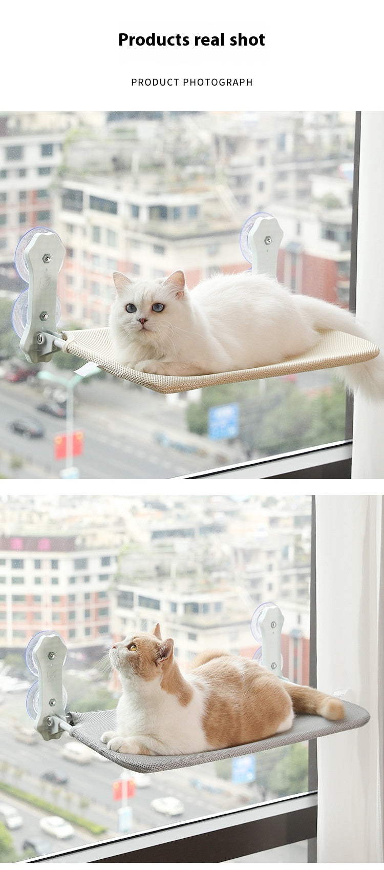 Pet Supplies Suction Cup Hammock Removable And Washable Cat Nest