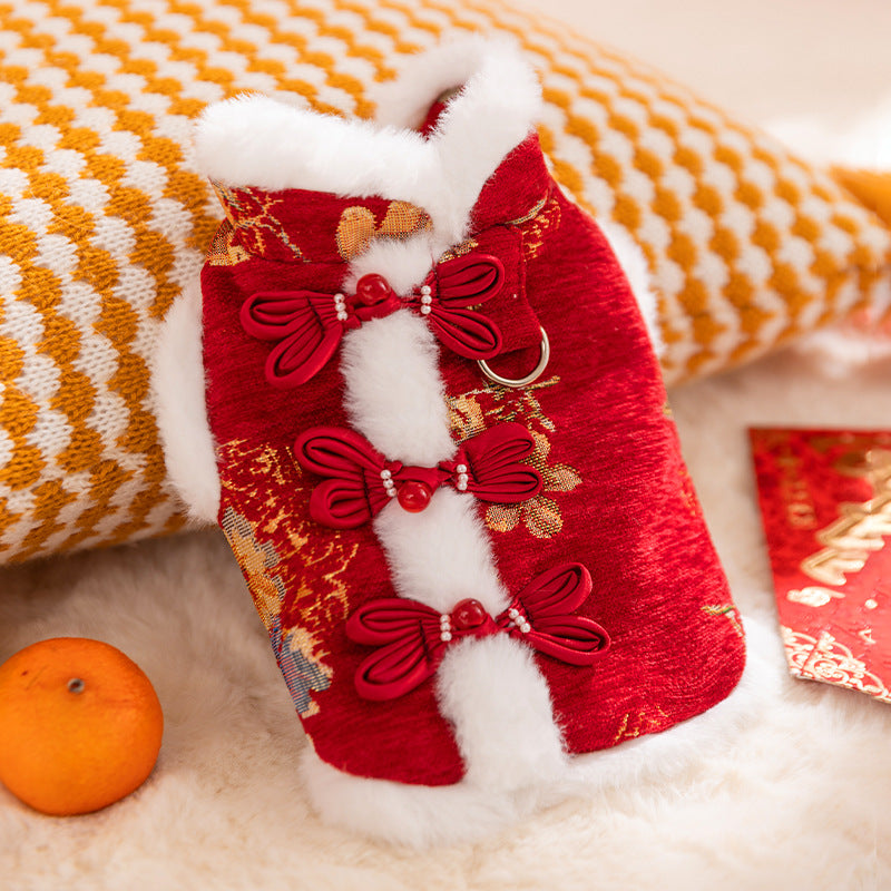 In Autumn And Winter, Cats Keep Warm. Chinese Style Of Wealth And Prosperity Bloom. New Year, Button-down Vests, Tang Suits, Little Dogs