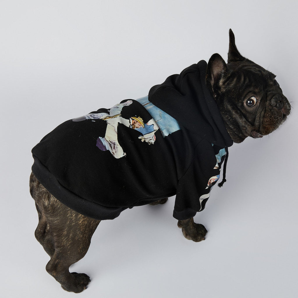 Schnauzer Pet Clothes Fashion Brand