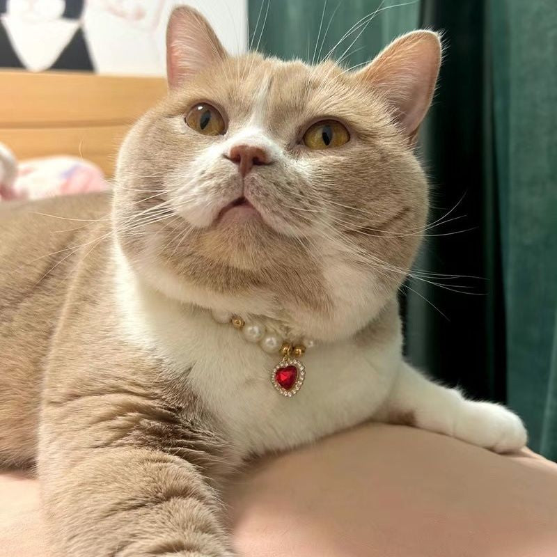 Popular Internet Celebrity Cat Pearl Necklace