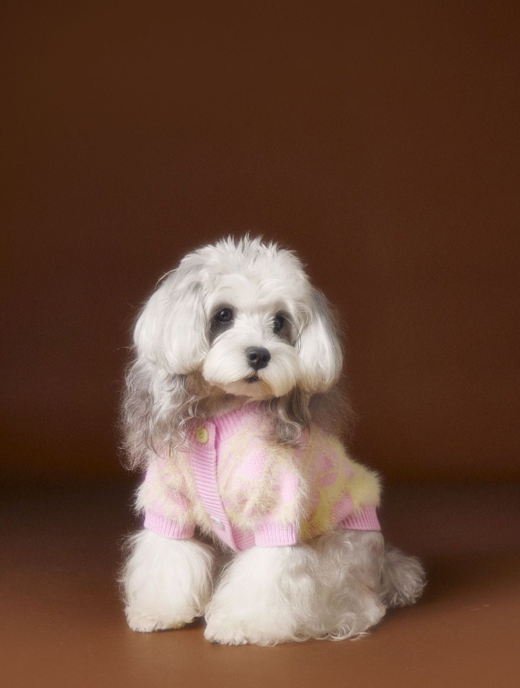 Schnauzer Teddy Bichon Cute Cardigan Sweater