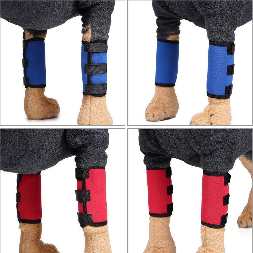 Pet Neoprene Dog Knee Protective Gear