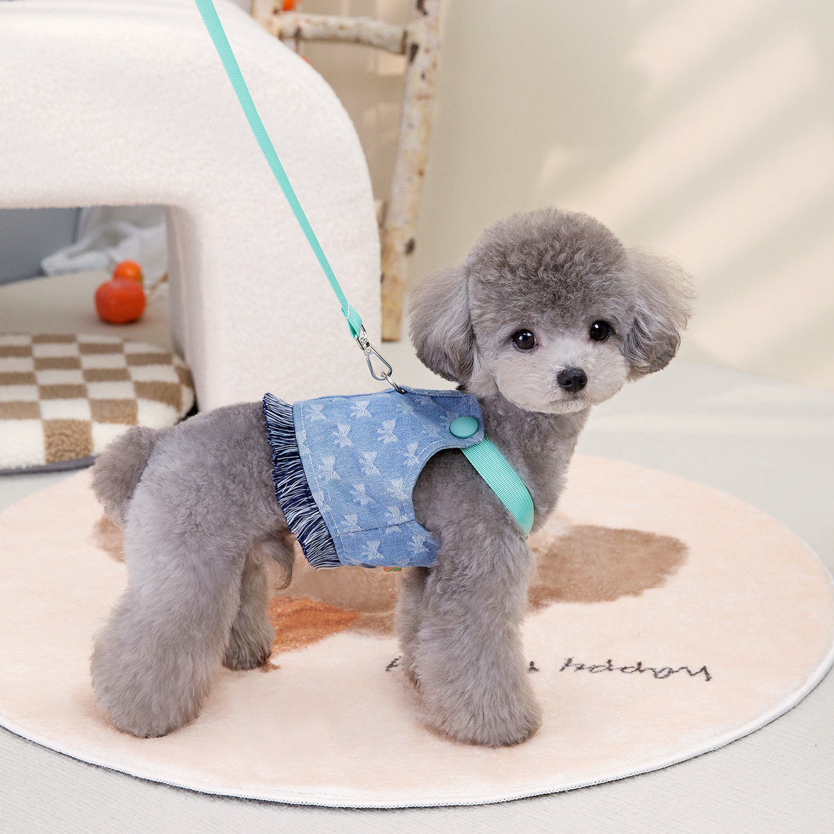 Pet Dog Chest And Back Traction Spring And Summer Denim Clothing