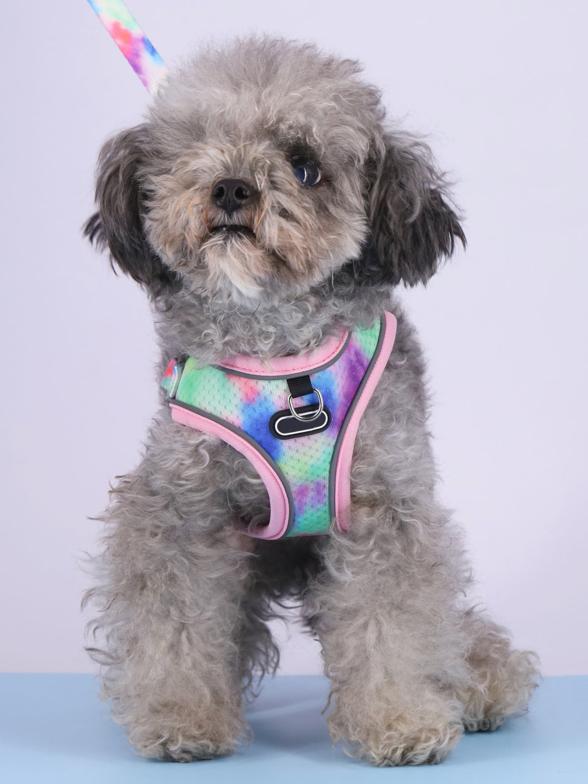 Pet's Chest-back Traction Dog Walking Chest Strap