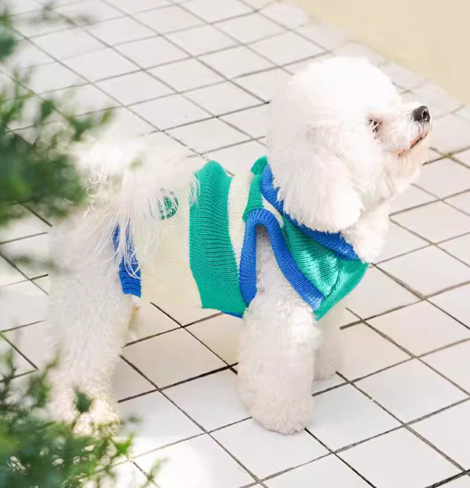 Striped Hooded Knitted Warm Pet Clothes