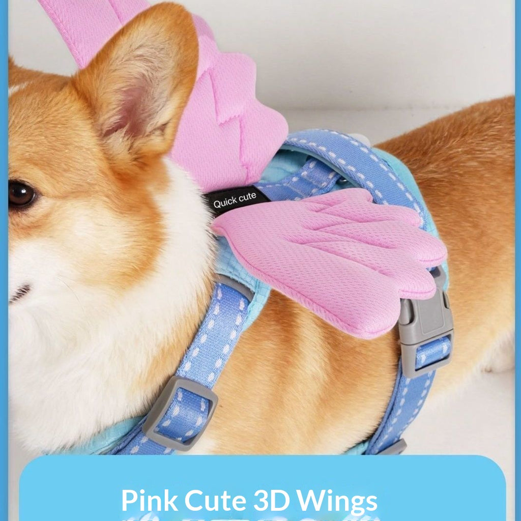 Universal Outdoor Dog Harness With 3D Angel Wings And Leash