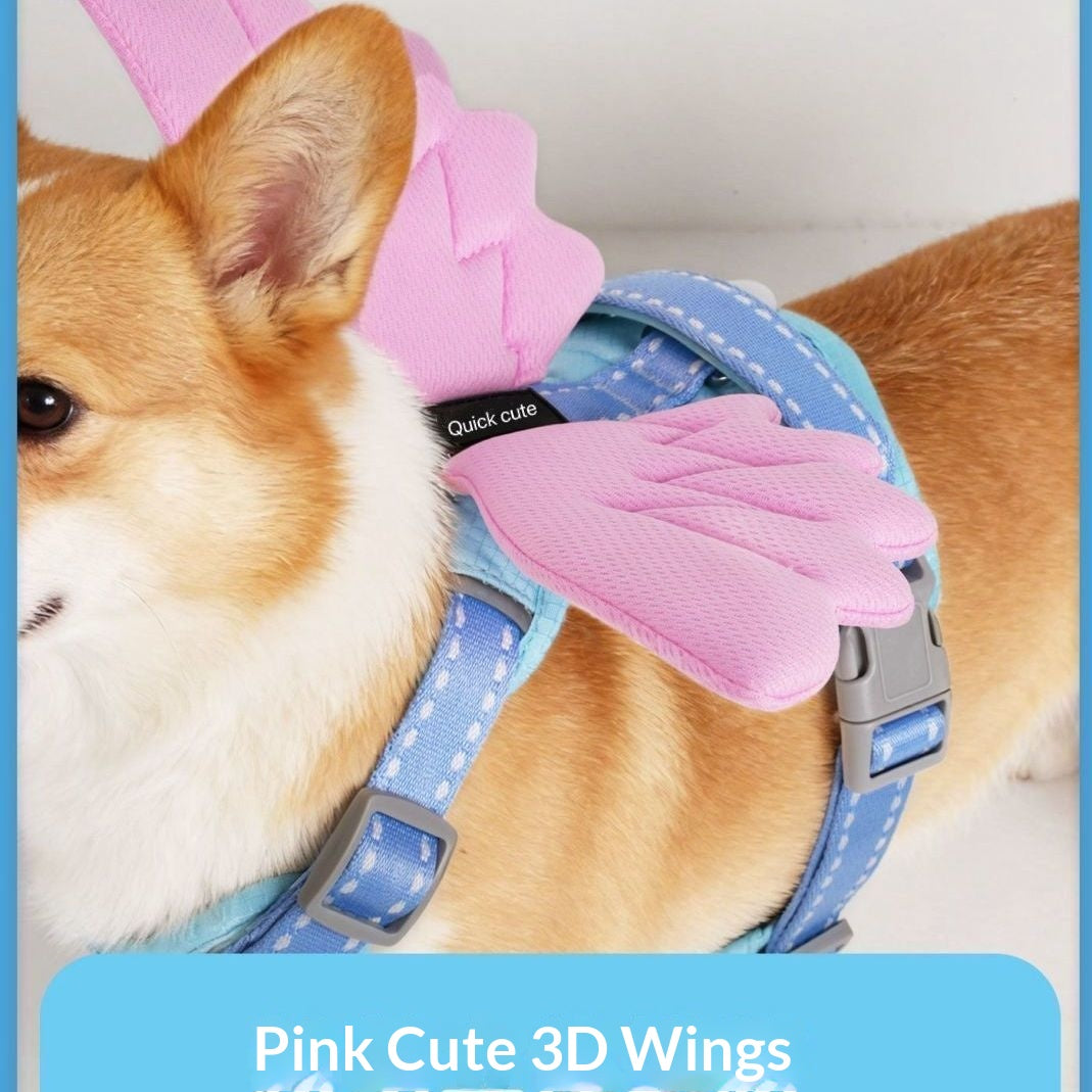 Universal Outdoor Dog Harness With 3D Angel Wings And Leash