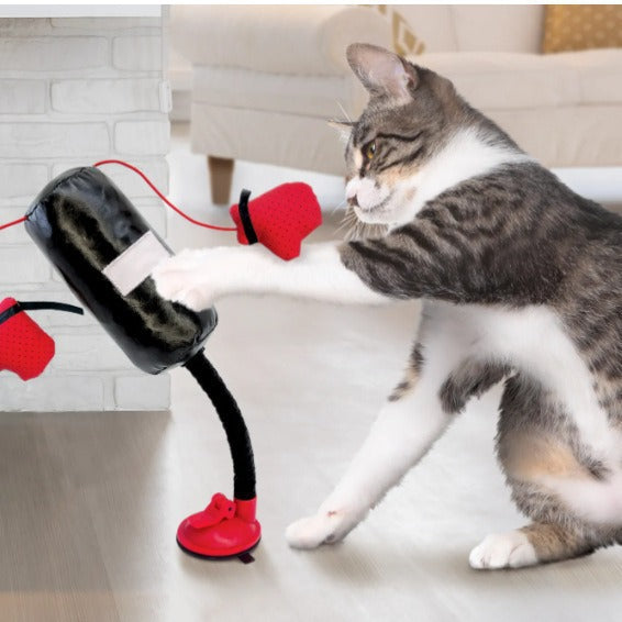 Portable Cat Punching Bag Toy Interactive Indoor Cats Kitten Toy With Gloves Cat Toy For Kitten Pet Cat Supplies Pets Products