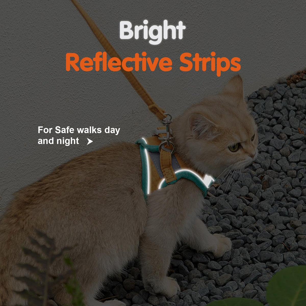 Cat Harness And Leash, Cat Harness Escape Proof, Soft Adjustable Cat Leash Breathable Comfortable Vest Easy To Wear, Easy Walk Leash For Small Medium