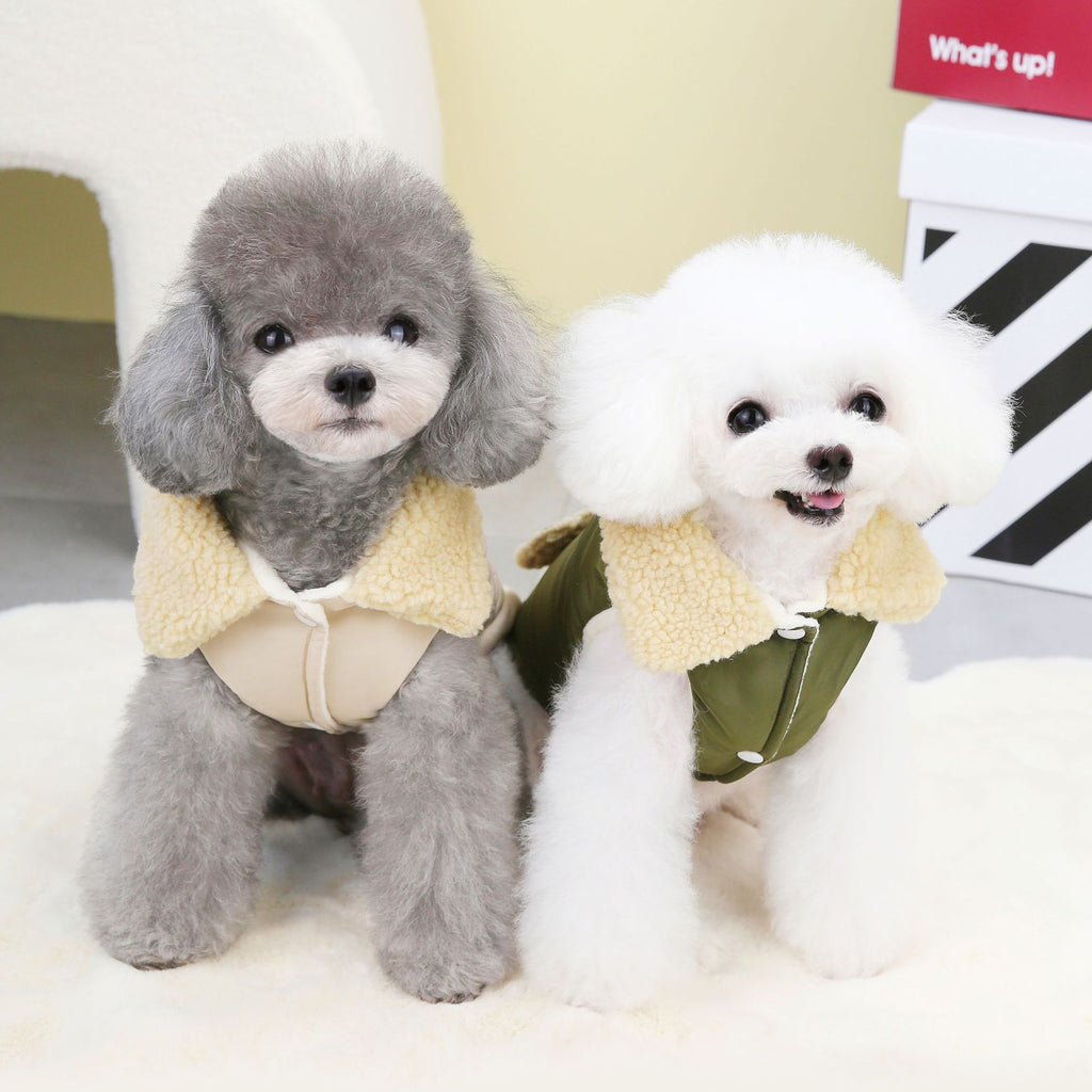 Teddy Cat Nordic Fur Collar Cotton Vest
