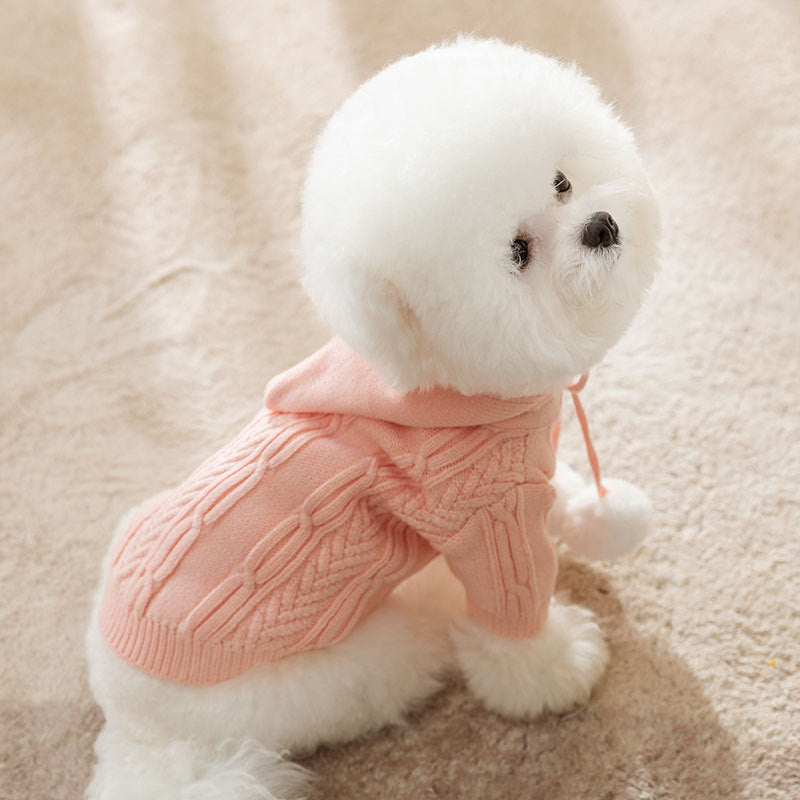Cat Fur Ball Sweater Two Feet Warm Hooded Dogs Teddy Pet Clothes