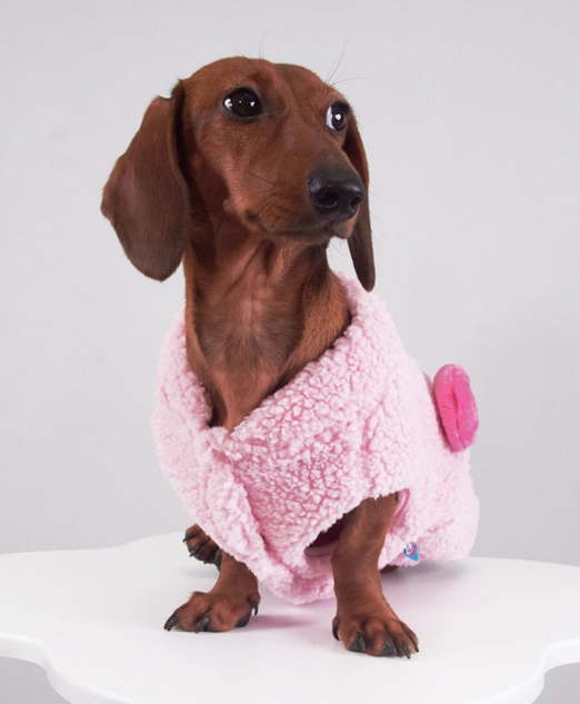 Autumn And Winter Dog Cat Pet Clothes Lambswool Vest