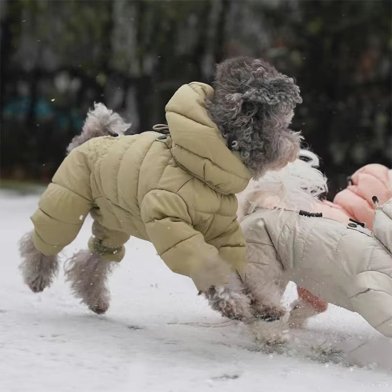 Small Dog Winter Clothing For Pets