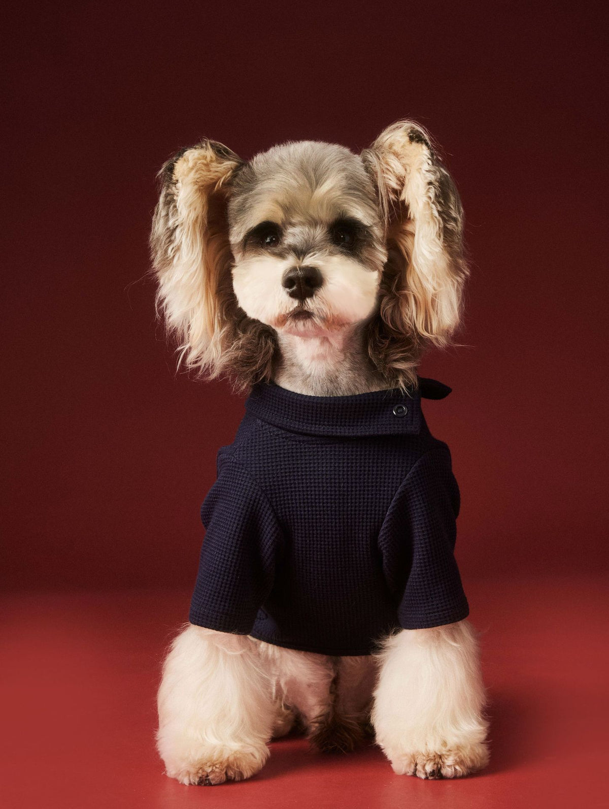 Tony Bear Dog Clothes Autumn And Winter Waffle Four-legged Pet Clothing