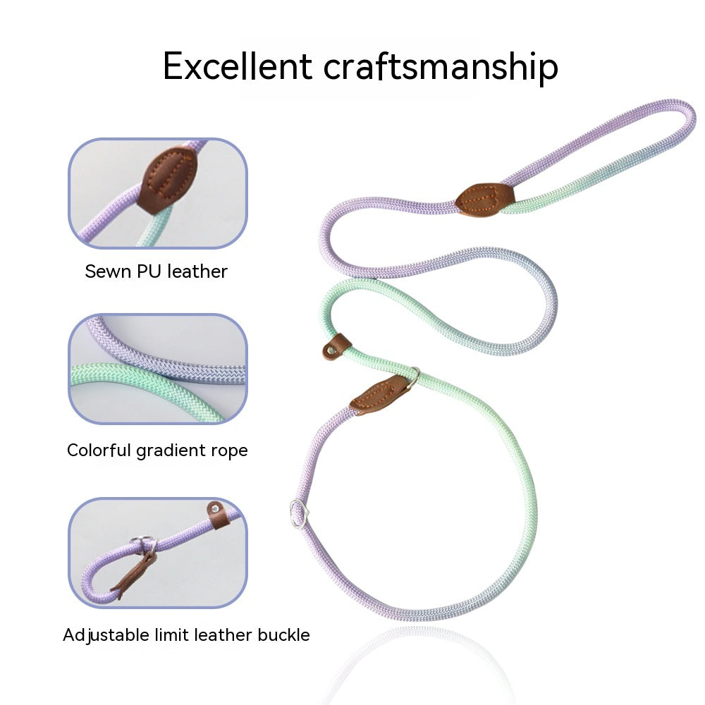 Colorful Durable Bold Nylon Pet Hand Holding Rope
