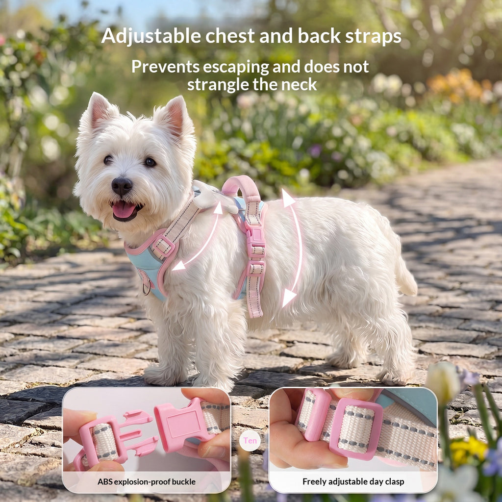 Angel Wings Dog Leash Outdoor Vest-Style Harness
