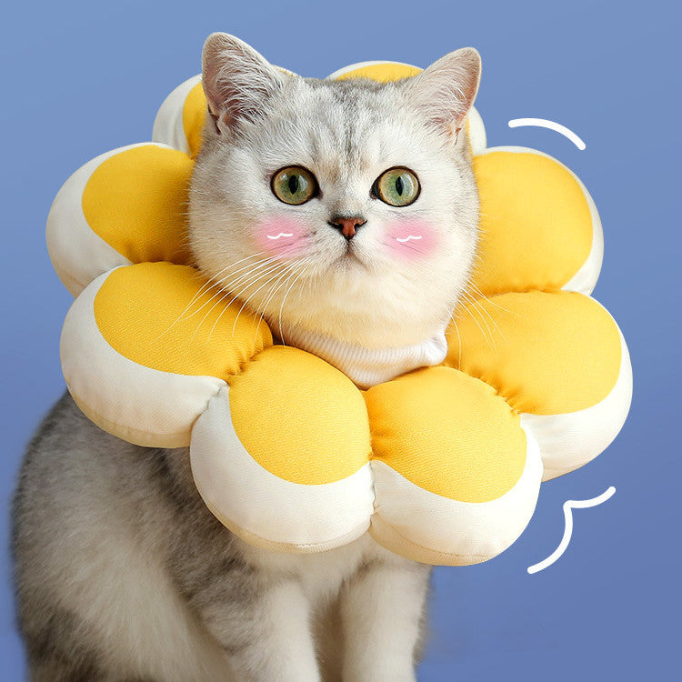 Anti-bite Anti-licking, Waterproof Cat Soft Collar
