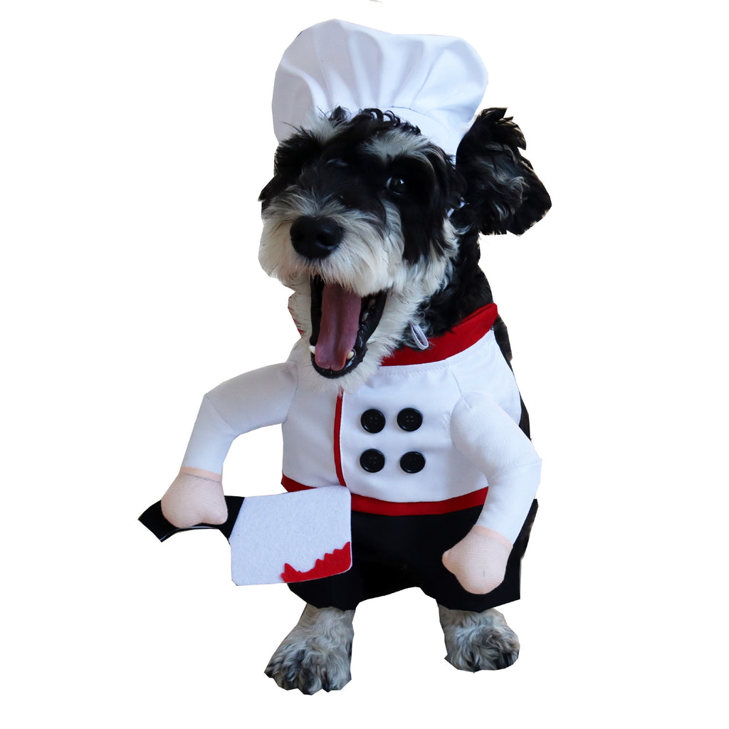 Winter Cotton Coat For Pet Dogs