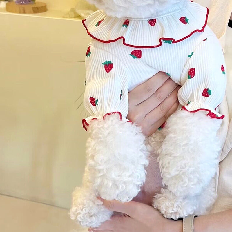 Summer Thin Lace Strawberry Pet Cat Dog Clothes