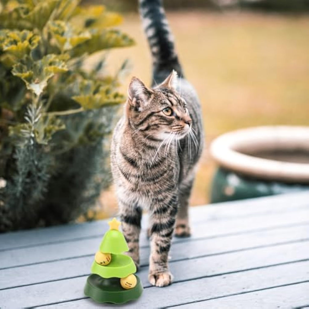 Track Toy With Catnip Balls Cat Toys Roller Track-2 In 1 Catnip Toys For Cats With Track Balls Interactive Kitten Mental Physical Exercise Puzzle