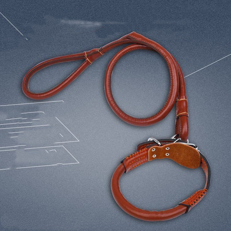 Medium Large Golden Retriever Husky Leather Collar Dog Rope