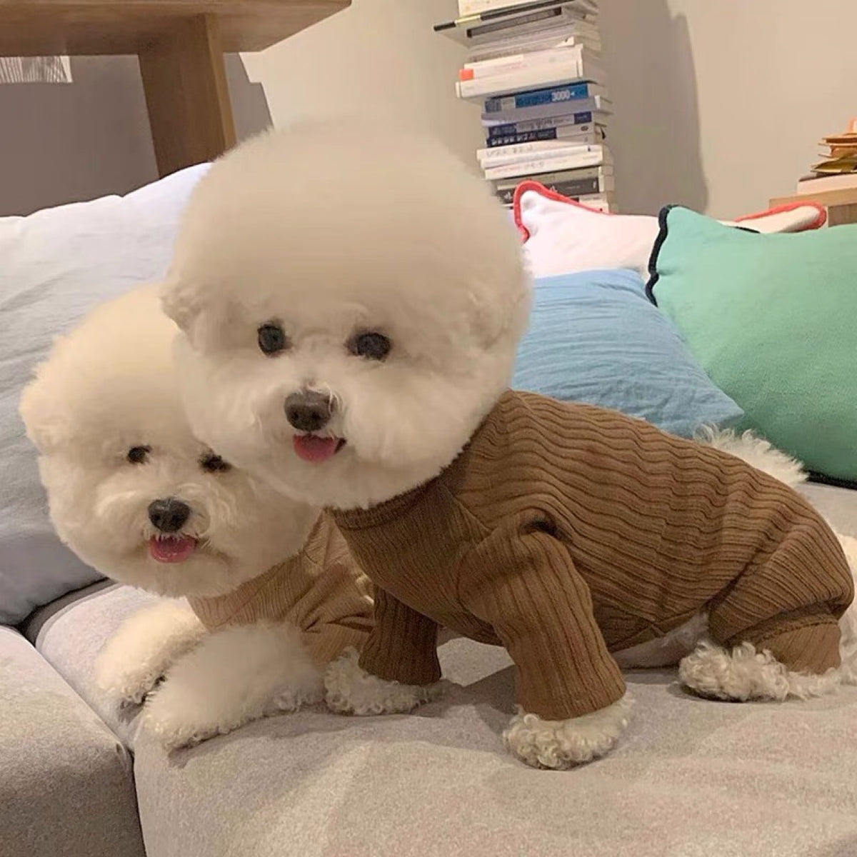 Pet Autumn Four-legged Pet Clothing Dog Bottoming Shirt Teddy Bichon VIP Schnauzer York Summer Small Dog Clothes