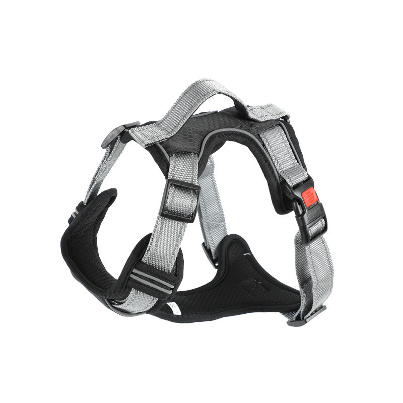 Dog Hand Holding Rope Vest Dog Chest Strap