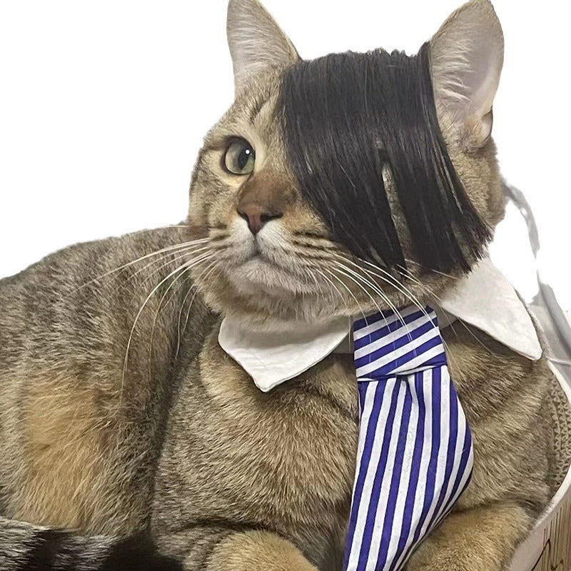 Pet Wig Fox Cat Funny Dress Up