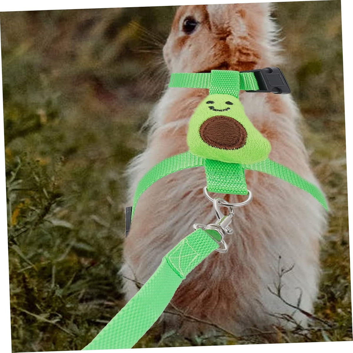 Small Pet Traction Rope And Harness - Keep Your Cat Dog Or Other Small Pet Safe And Secure