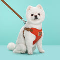 Outing Dog Leash Pet Strap