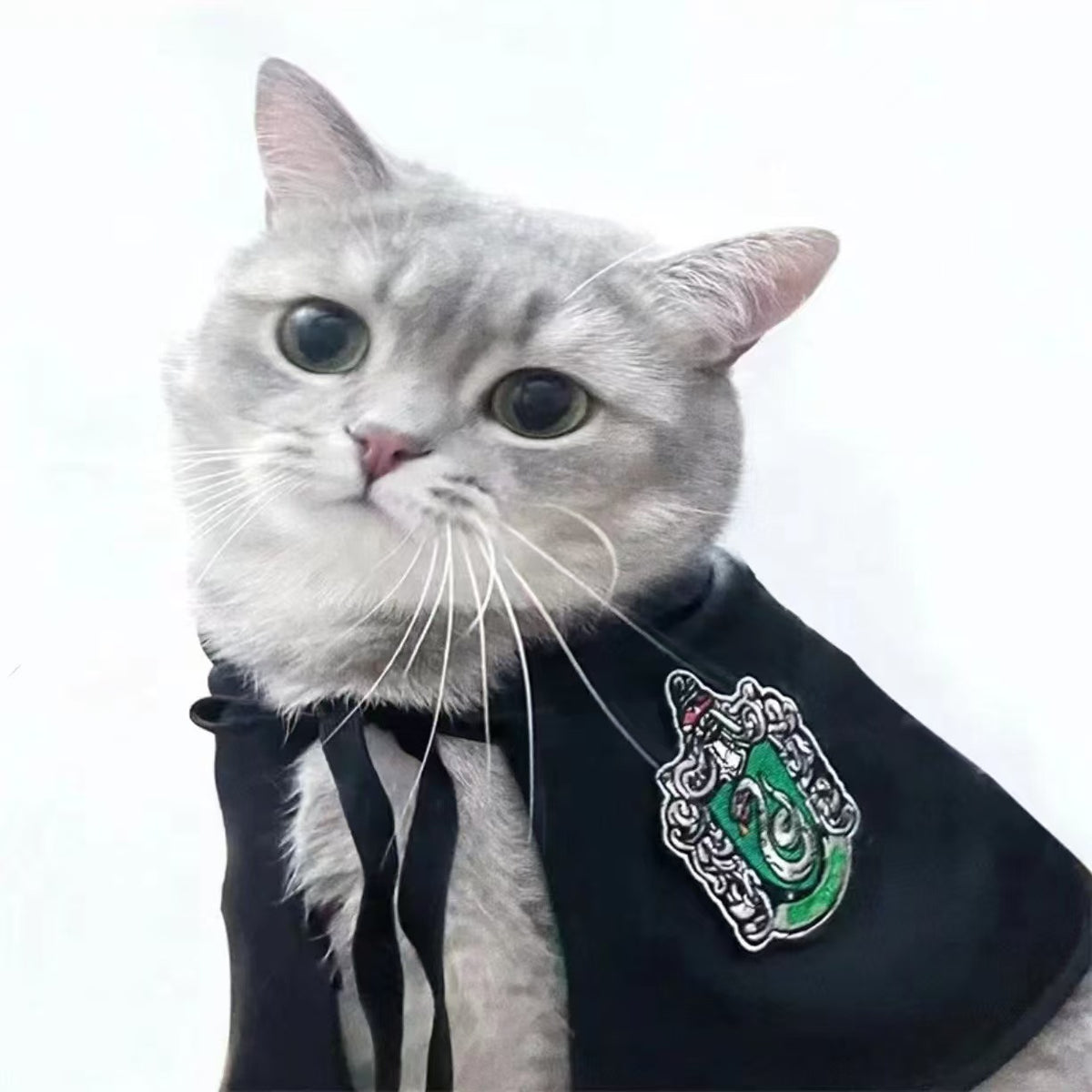 Pet Cat Dog Magic Harry Potter Glasses Small Cloak Robe Shawl College Internet Celebrity