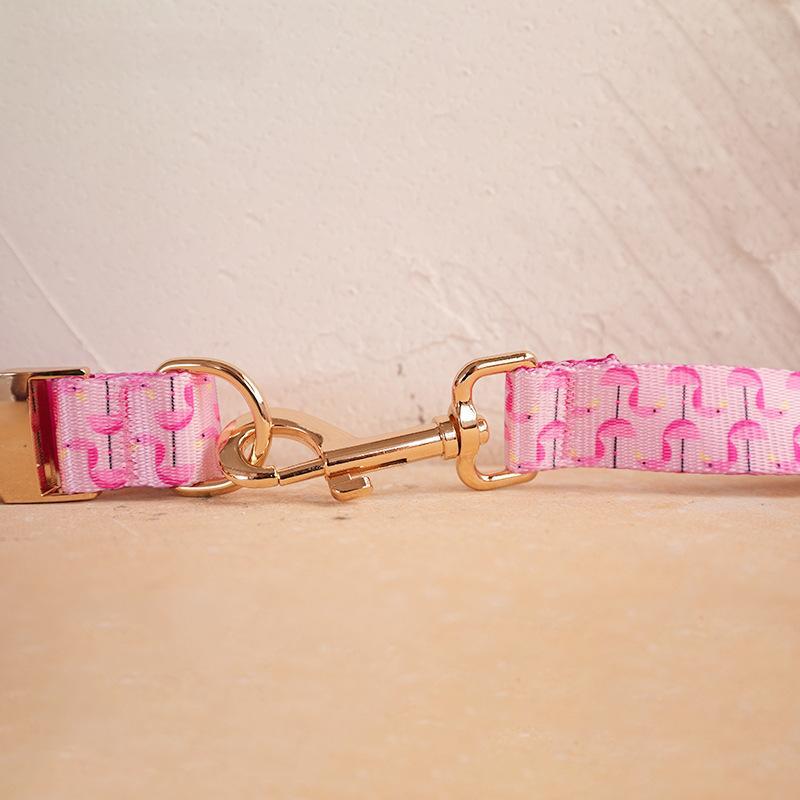 Self-designed Soft And Comfortable Pet Dog Collar Leash Set
