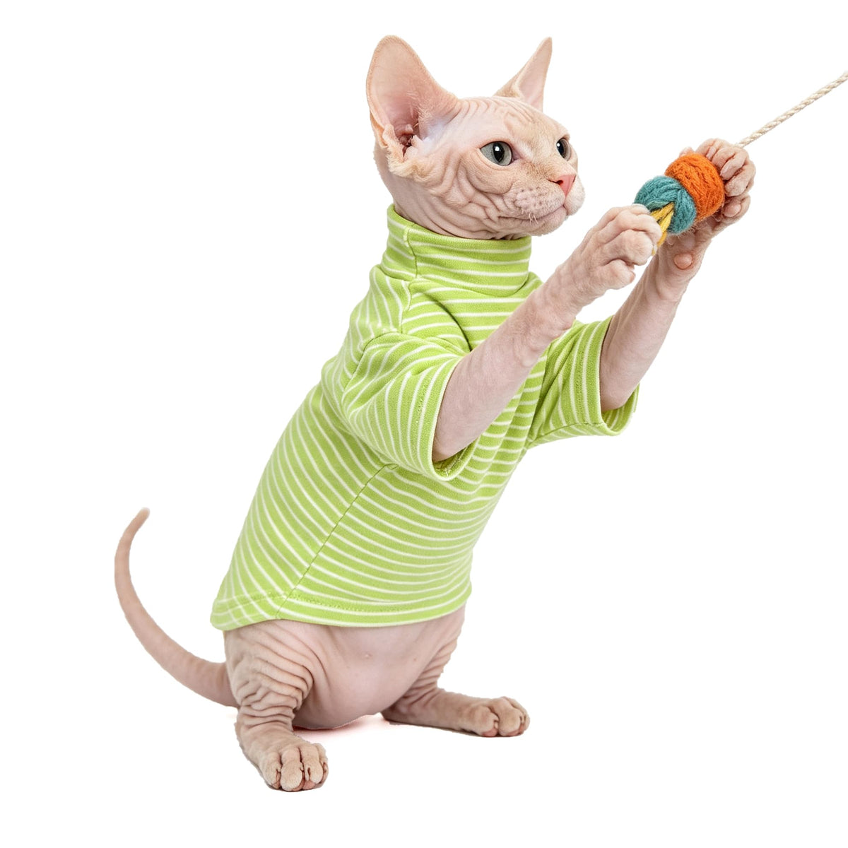 Sphynx Cat Clothes For Cats Only, Narrow Striped Sphynx Shirt Clothes T-Shirts Sweatshirt With Sleeves, Soft Kitten Sphinx Clothes Pet Apparel Devon