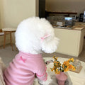Dog Clothes Fashion Personalized Bottoming Shirt