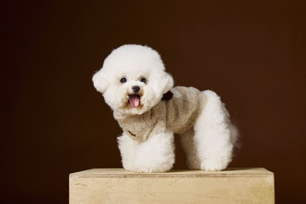 Autumn And Winter Sleeveless Teddy Schnauzer Bichon Puppy Head Three-dimensional Ear Sweater Vest